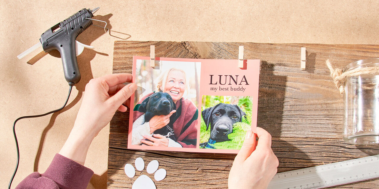 Zwei Hände hängen das Sofortfoto in die Wäscheklammern, auf dem die Besitzerin mit ihrem Hund und der Name „Luna“ zu sehen sind.