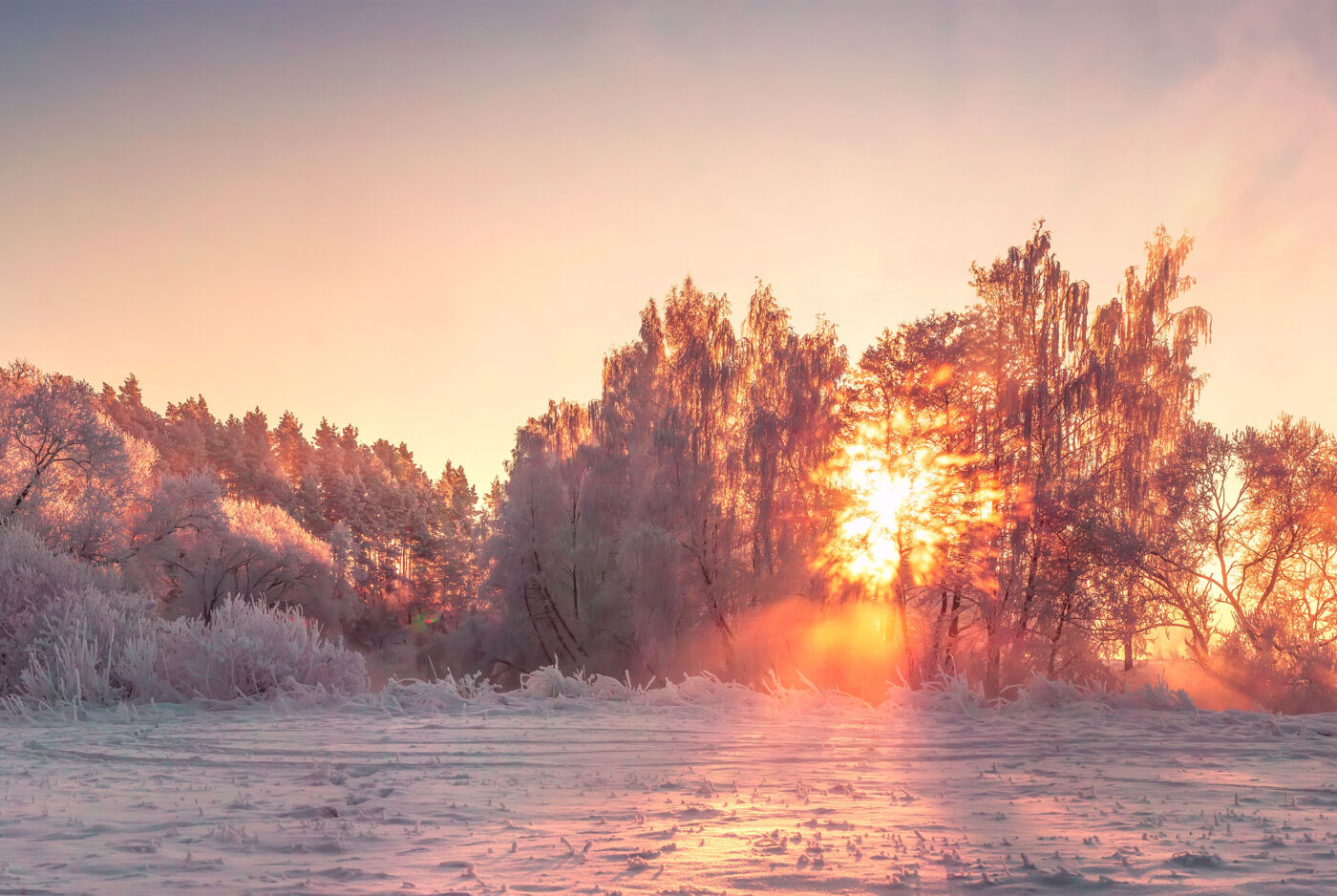 Winterlandschaft mit schneebedecktem Feld und einer Baumreihe. Im Hintergrund geht die Sonne auf.